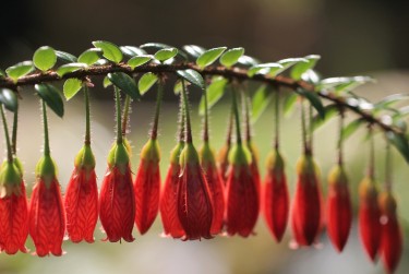 惠州博罗2私人快速借钱网，轻松解决资金难题