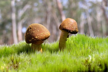 惠州博罗2私人老板放款：轻松融资的秘密通道